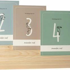 Great Memories Mijlpaalkaarten Baby Nederlands Design (25 Stuks) - Milestone Baby Cards - Kraamcadeau - Fotoherinnering -Telano-winkel 550x360 5