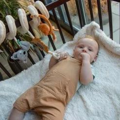 Tryco Jungle Boxspiraal TR-243305 -Telano-winkel 550x366 128