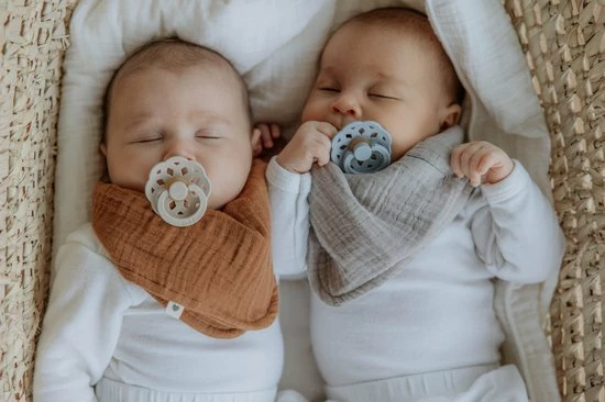 Bibs Fopspeen - Maat 1 0-6 Maanden - 1 Stuk - Boheme Blossom 5 Bibs Fopspeen - Maat 1 0-6 Maanden - 1 Stuk - Boheme Blossom - Afbeelding 5