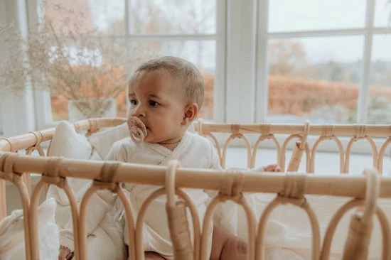 BiBS - Boheme Pacifier - Stage 2 Fopspeen - 2 Stuks - Woodchuck / Blush 5 BiBS - Boheme Pacifier - Stage 2 Fopspeen - 2 Stuks - Woodchuck / Blush - Afbeelding 5