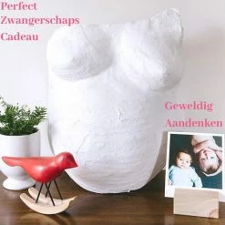 Helofa Gipsbuik Pakket - Met 12 Kleuren Verf En Kwasten 4 Rollen Extra Groot En Sterk Gipsverband Niet Toxisch - Baby Buik Zwanger -Telano-winkel 550x550 558