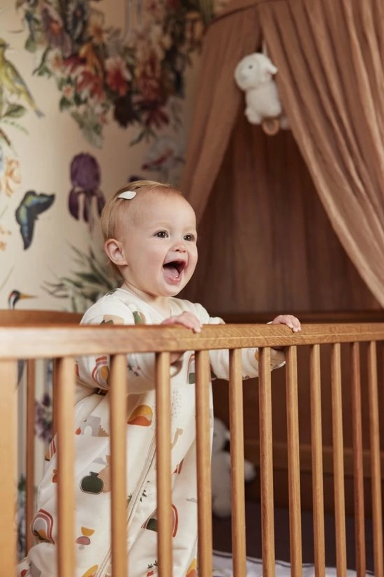 Jollein Baby Winterslaapzak Met Afritsbare Mouw 70cm - Middle East 14 Jollein Baby Winterslaapzak Met Afritsbare Mouw 70cm - Middle East - Afbeelding 14